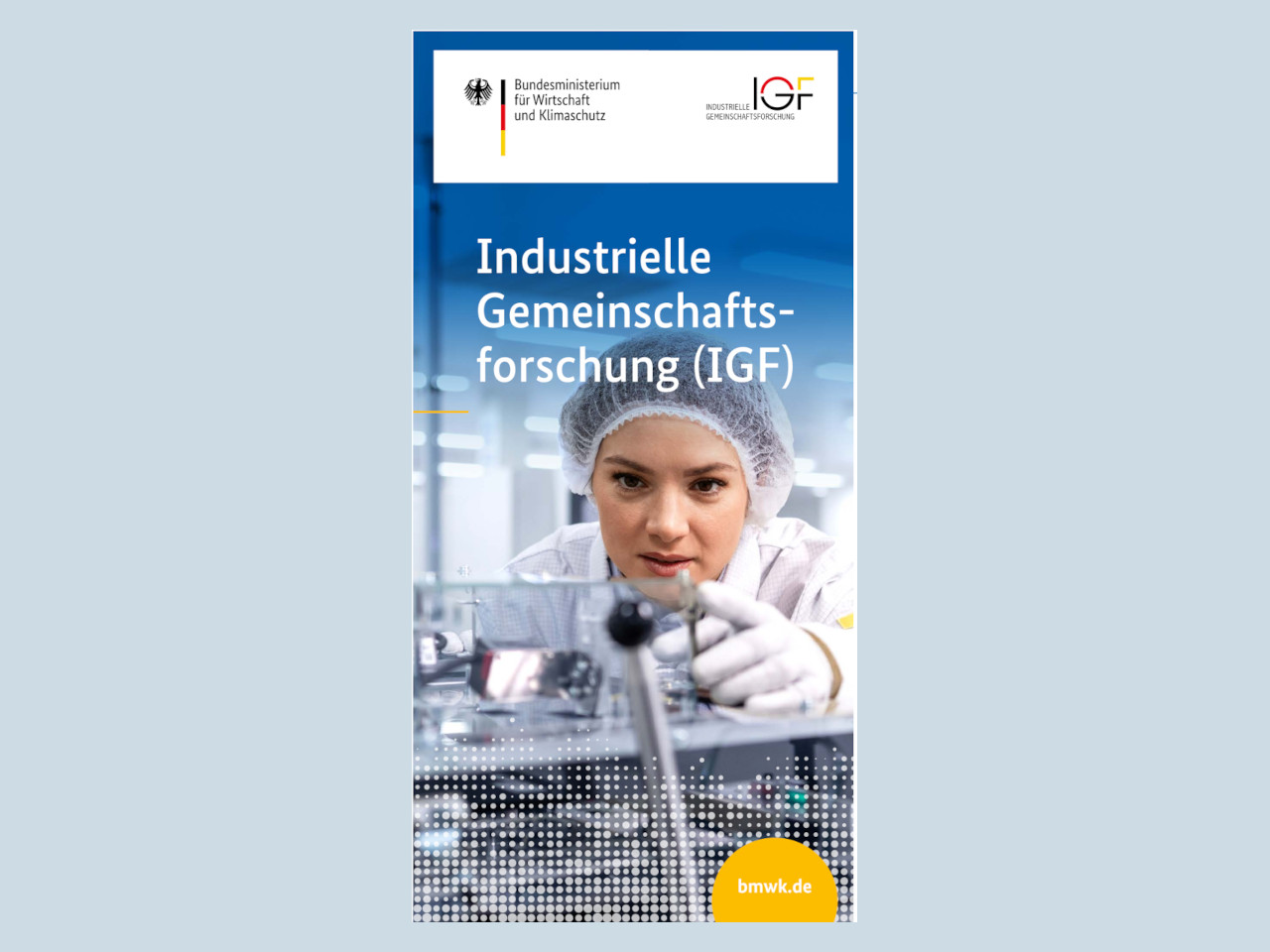Vorschaubild IGF-Flyer
