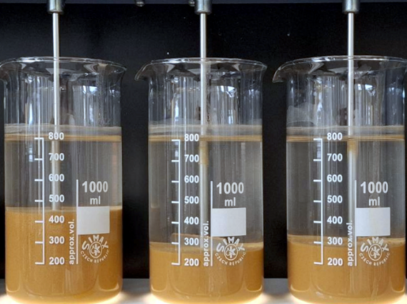 ClearWater Schlammphasen