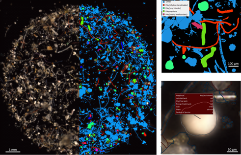 Silizium-Filter mit Mikroplastikpartikeln